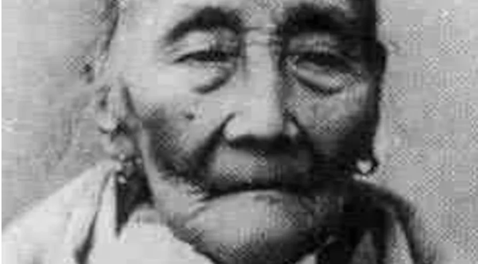 The Tree And Its Fruit Teodora Alonso Realonda And Jo vrogue.co