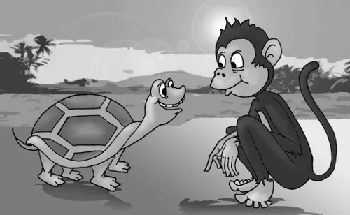 Monkey and the turtle