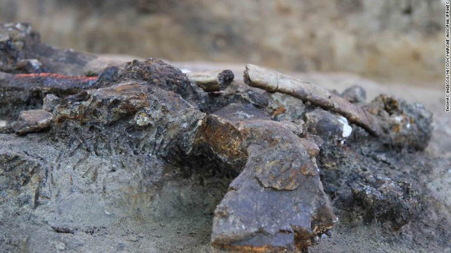 Remains of a butchered rhinoceros