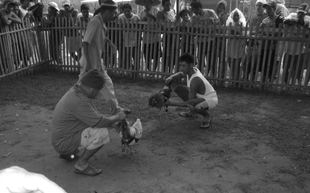 May 9, 1974 Marcos created the Cockfighting Law of 1974